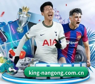 king-nangong.com.cn的方向